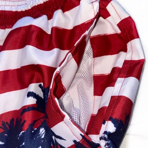 Trunks Surf & Swim Co Sano Swim Stripe Shorts- - Picture 10 of 16